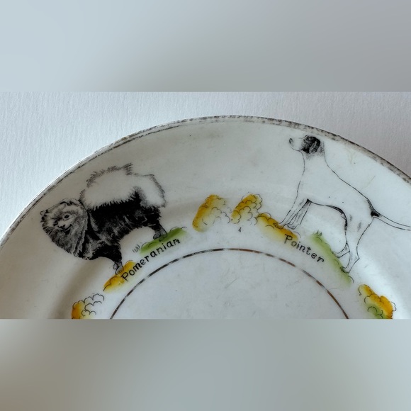 Paragon British Dog Series 7” Plate - Picture 4 of 6